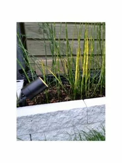 Lucide Bodenleuchte Arne mit Stecker, Ø 6 x H 36 cm -Leuchten Verkaufsladen Bodenleuchte Arne mit Stecker 7