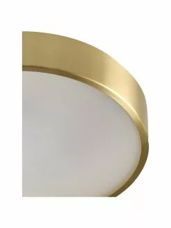 Deckenleuchte Dante in Gold, Ø 40 x H 7 cm -Leuchten Verkaufsladen Deckenleuchte Dante in Gold 3