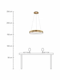 Dimmbare LED-Pendelleuchte Rando in Gold, Ø 60 x H 6 cm -Leuchten Verkaufsladen Dimmbare LED Pendelleuchte Rando in Gold 2