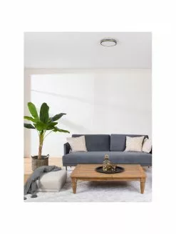 Kleine LED-Deckenleuchte Pescaito, Ø 28 x H 7 cm -Leuchten Verkaufsladen Kleine LED Deckenleuchte Pescaito 3