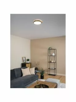 Kleine LED-Deckenleuchte Pescaito, Ø 28 x H 7 cm -Leuchten Verkaufsladen Kleine LED Deckenleuchte Pescaito 4