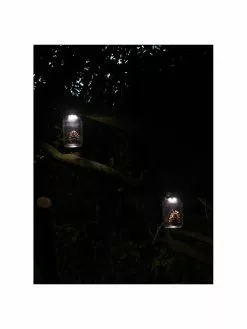 Solar Außenlaterne Bianca, Ø 10 x H 18 cm -Leuchten Verkaufsladen Solar Aussenlaterne Bianca 3