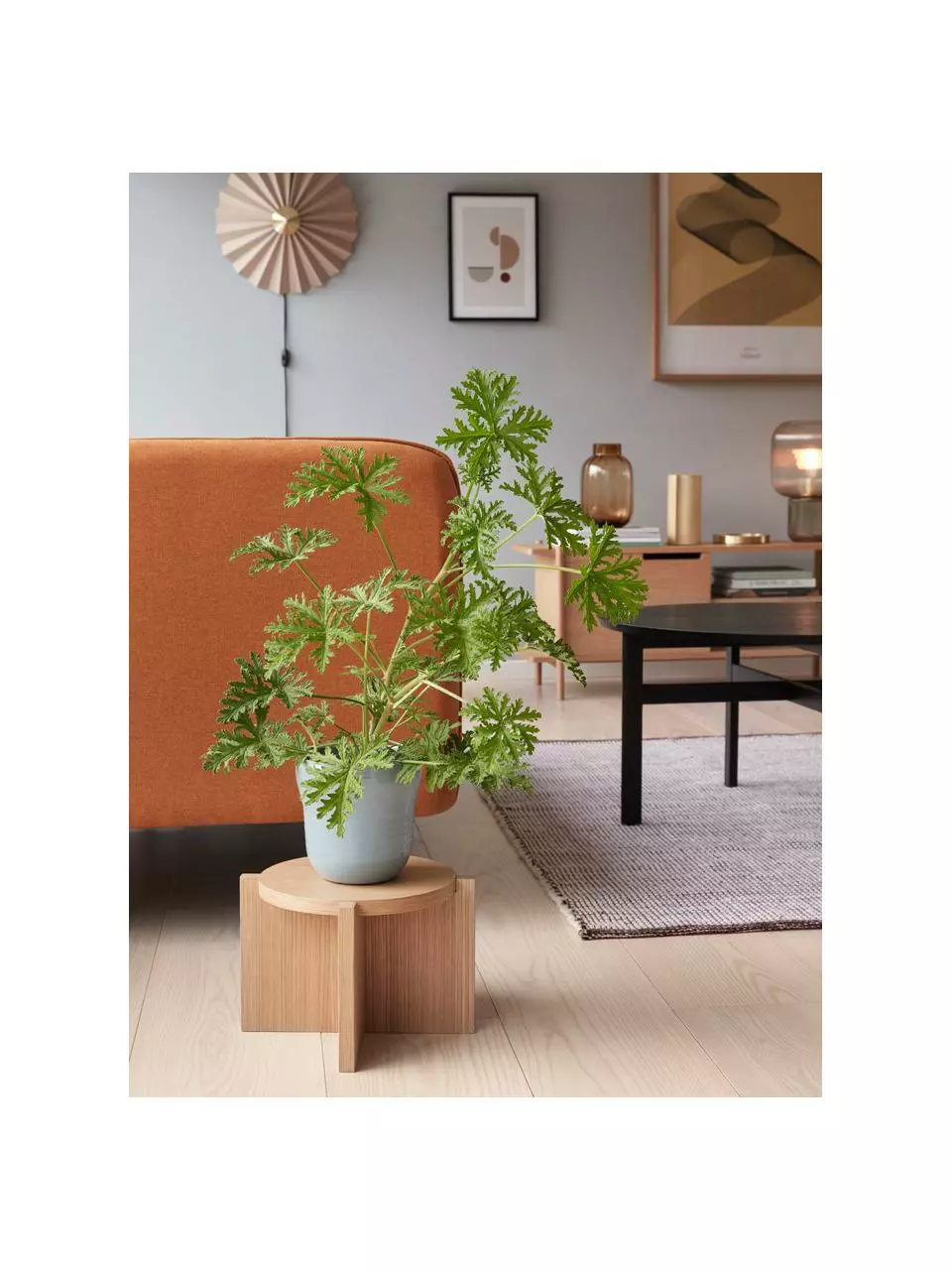 Hübsch Wandleuchte Tenty aus Papier mit Stecker, Ø 48 x T 16 cm 4 Hübsch Wandleuchte Tenty aus Papier mit Stecker, Ø 48 x T 16 cm – Bild 2